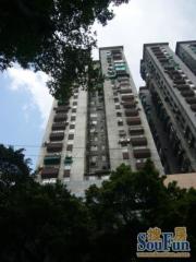 文德路厂后街(精装修,家具家电全齐,拎包即住