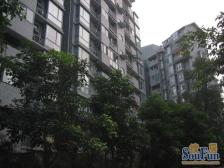 融城理想 4室2厅 南 北