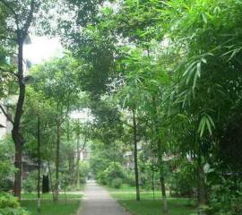 菊乐路98号 1室1厅 东