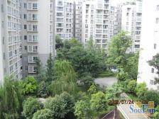 泰基花语廊 4室2厅 西北