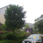 沙河新城 3室1厅 南 西南