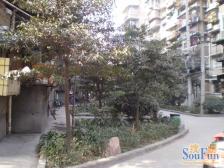 蜀光路14号 2室1厅 东南 西北