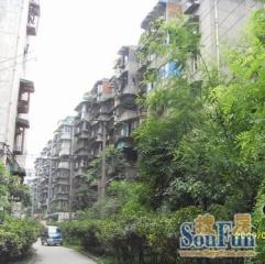 都市人家二期3室1厅西南