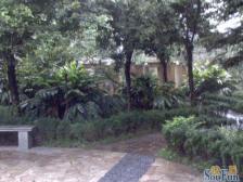 步行街 春晖花园二房65万