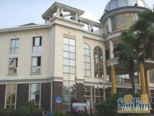 白金瀚精装别墅,青山湖旁 品质小区 带车库车位,