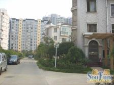 白金瀚 精装别墅 诚心出售 价格可以谈