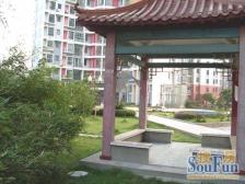 柏林爱乐 南北通透,采光好 视野好,诚心出售