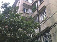 南池路14号南池路南池宿舍 南北通透,采光好 视野好,诚心出售