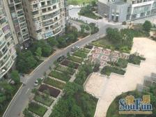 采光好,小区里在卖的好位置,带天然气。