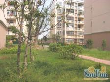 城市溪地.小区入住率高.视野宽阔,南北格局.采光充足