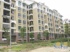 城投康泽园 南北通透,采光好 装修好,环镜优美 视野好,诚心出售