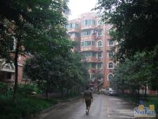 步行街 三木花园三房77.2万