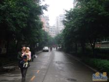 户型好,2楼还没有装电梯,出行便利 ,适合住家.