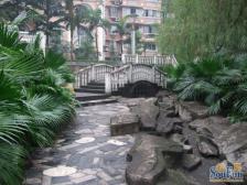 步行街 三木花园二房45万