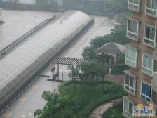 佣金3666元 业主急售 价格可谈 九宫庙步行街楼上精装三房