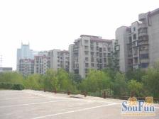 工贸一村(桃园小区) 南北通透,采光好 视野好,诚心出售