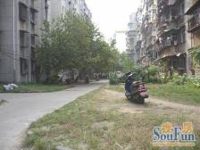 桃苑大街开放式小区两房一厅朝南 实用通透