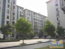 桃苑外国语旁 工贸一村 三面采光 精装一房 通透