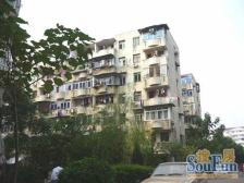 工贸一村(桃园小区) 南北通透,采光好 视野好,诚心出售