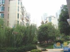 红谷春天花园精装电梯两房诚意出售