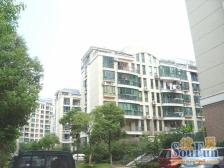 红谷春天花园电梯房精装三房两卫