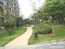 红谷春天花园 南北通透,采光好 装修好,环镜优美 视野好,诚心出售