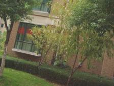 高层视野开阔,可以看摩天轮,诚心出售