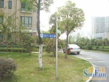 红谷春天花园 装修好,环镜优美 视野好,诚心出售