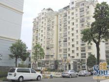 比产证大50平以上的顶复,地铁口,近育新,心远