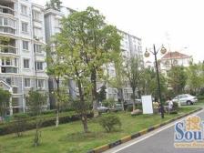 近育新二中万达二号线绿茵路世纪花园精装大三房