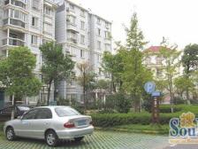 全新装修 拎包入住 户型方正得房率高格局好光线充足