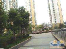 全新装修 拎包便可入住 业主人美心善好说话