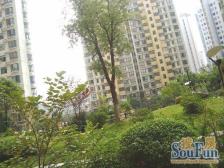 近红谷滩万达 双子塔 秋水广场 楼下洪城百货商场