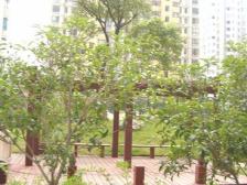 洪城时代广场 南北通透,采光好 装修好,环镜优美 近地铁 视野好,诚心出售