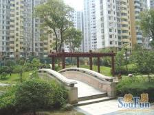 红谷滩 70年产权 一室 朝南