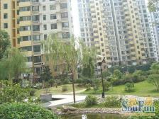 看房预约,业主想买掉,正规一室一厅户型