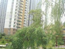 洪城时代广场,复式3房,楼层好,采光好