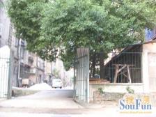 离洪小近 生活方便 好停车 接小孩方便 精装三房