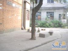 建设路151弄通用机械厂宿舍 南北通透,采光好 装修好,环镜优美 近地铁 视野好,诚心出售