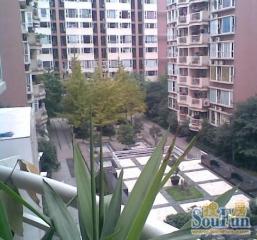 锦宏骏苑南区 3室2厅 东南