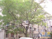 江联小区北区 2室2厅 南 北