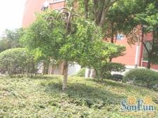 江铃景泰花园 南北通透,采光好 装修好,环镜优美 近地铁 周边匹套完善,,出行方便