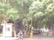 小区环境优美 低楼层 总价低 业主诚心出售