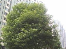 地铁大厦一二号线换乘点 ,交通便利