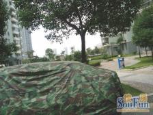 江信国际花园 南北通透,采光好 视野好,诚心出售