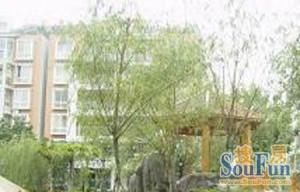 丽都新城一期 3室2厅 西