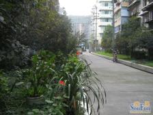 长顺苑 2室2厅 南