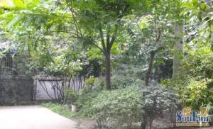 青羊东二路41号2室1厅东南南西南