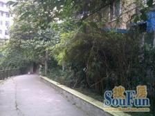 青羊东二路41号 2室1厅 东南 南 西南