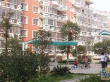 、房型方正、正规居室、小区环境安静、前后视线好、光线好、阳光